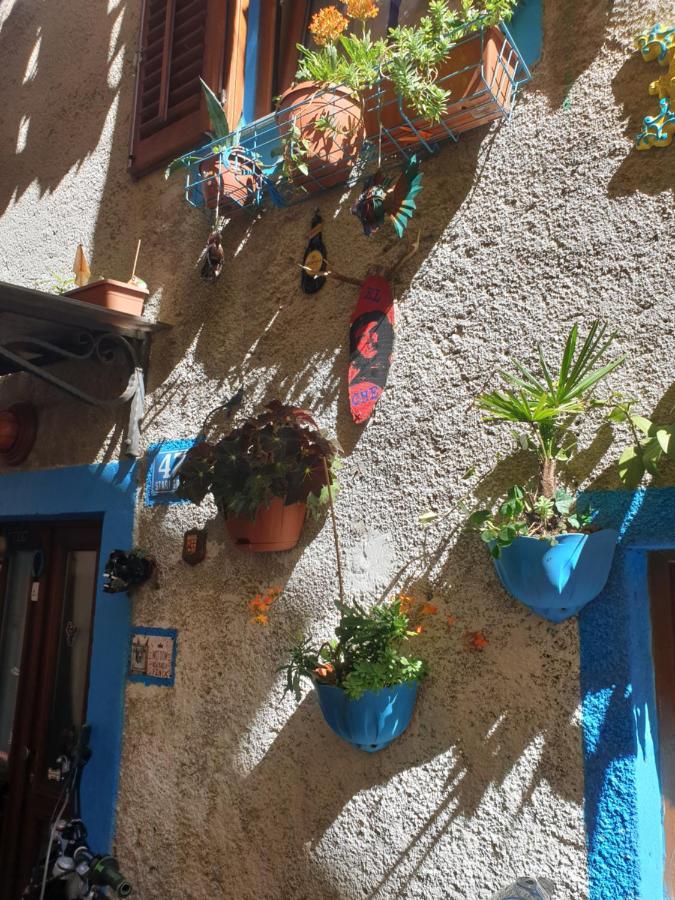 Apartment With Direct Sea View, Free Parking And Close To Beaches And Promenade Lovran Bagian luar foto